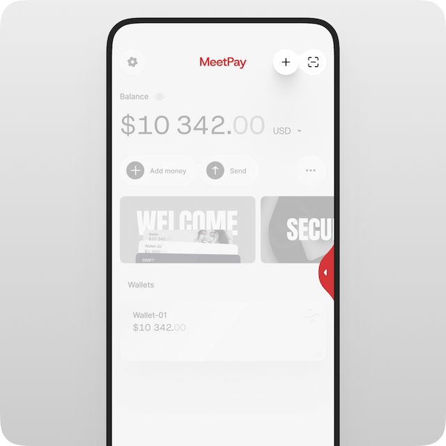 On the main wallet screen, tap the **“+”** icon to add a new wallet.