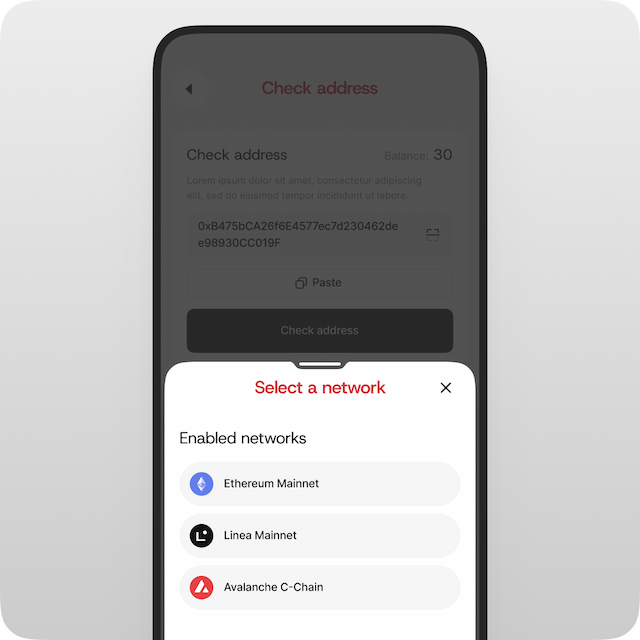 If needed, select the network for the address (e.g., Ethereum Mainnet, Linea Mainnet, or Avalanche C‑Chain). This ensures an accurate check.