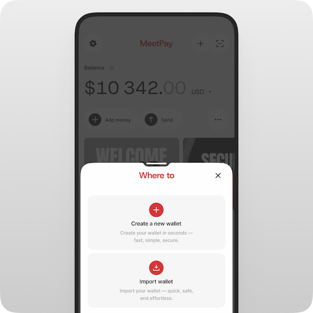 In the menu, choose **“Import wallet”** if you already have a wallet you want to restore.